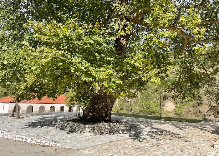 Nyaraló Sinan Moraci *