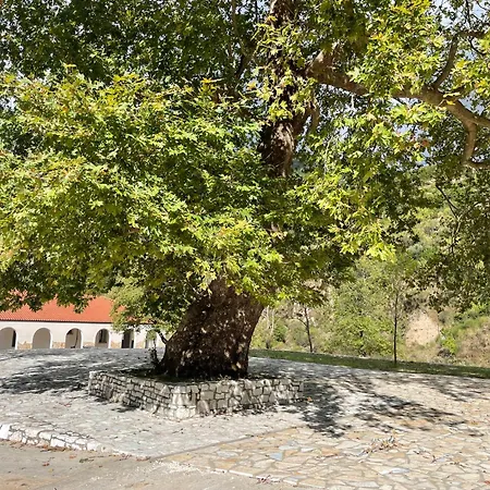 Сasa de vacaciones Sinan moraci *